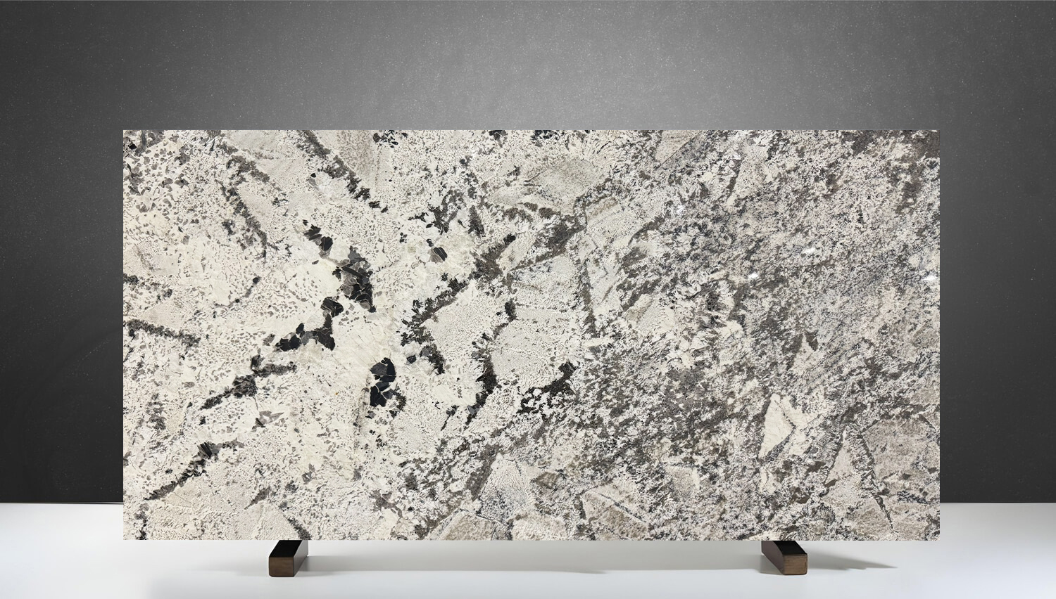 DELICATUS NOVA